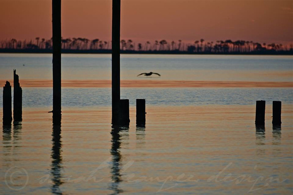 One pelican and pylons at sunset on East Beach