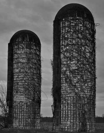 Silos on the Levee