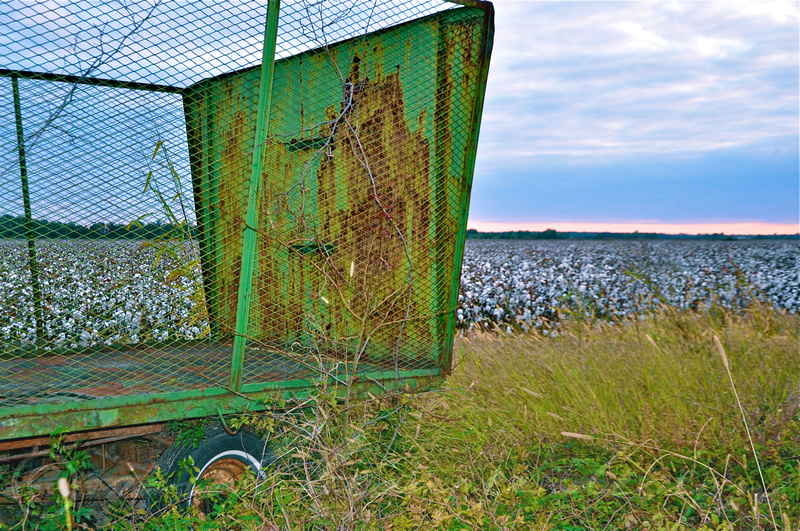 Sarah Beaugez Photography-The Cotton Harvest 26