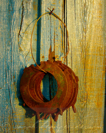 Sarah Beaugez Photography-All Around The Delta 7