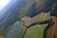 MS - Catfish Ponds (aerial)