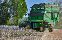 Sarah Beaugez Photography-The Cotton Harvest 2 Pickers In G'Wood--3