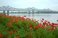 Poppies&TheMightyMississippi