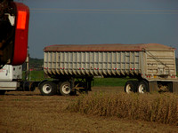 Mississippi Tractors & Combines in Delta 6