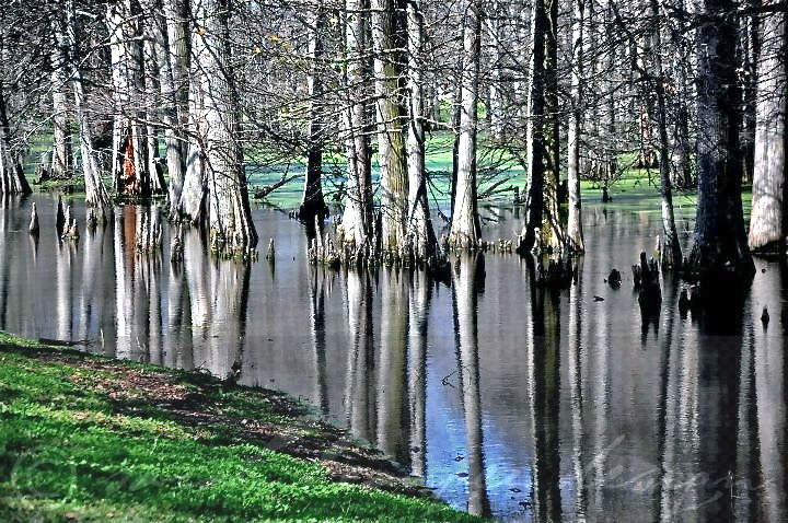 SB Photography-It's all about the Delta 88- Indianola Bayou3