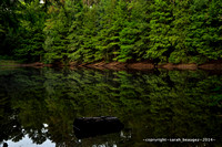 _DSC0632
