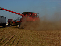 Mississippi Tractors & Combines in Delta 15