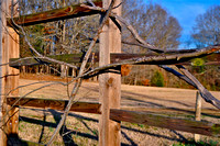 Sarah Beaugez Photography-The Franks Farm 4