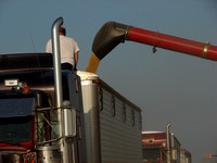 Mississippi Tractors & Combines in Delta 17