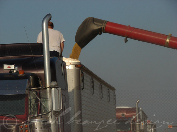 Mississippi Tractors & Combines in Delta 17
