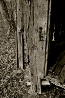 Sarah Beaugez Photography-The Franks Farm 18