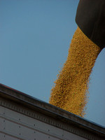 Mississippi Tractors & Combines in Delta 18