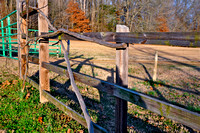 The Franks Farm, Winona Mississippi
