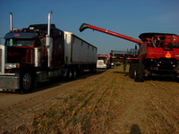 Mississippi Tractors & Combines in Delta 7