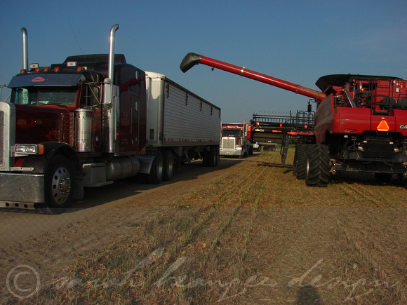 Mississippi Tractors & Combines in Delta 7