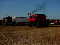 Mississippi Tractors & Combines in Delta 8