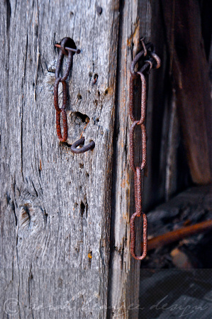 Sarah Beaugez Photography-The Franks Farm 17
