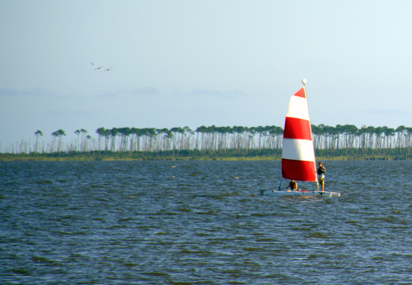 Red & White sails in the  channel between East Beach and Deer Island