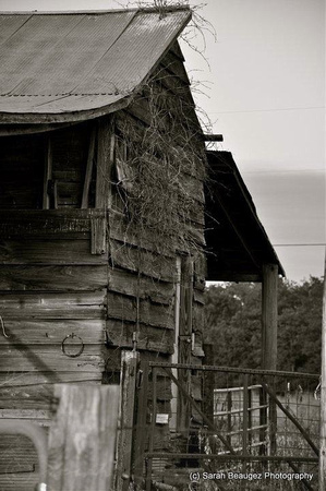 Side of the Barn_Bl&Wh
