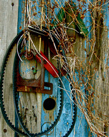 Sarah Beaugez Photography-All Around The Delta 8