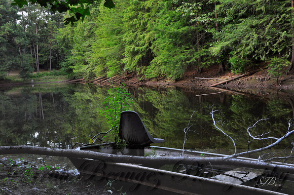 Sarah Beaugez Photography - Cypress Pond 7