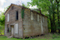 111 Mississippi New Cotton 9