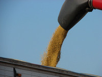 Mississippi Tractors & Combines in Delta 3