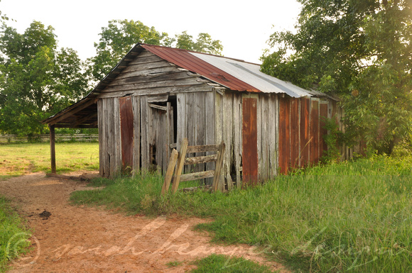 Sarah Beaugez Photography- 2016 Calendar 6 WinstonCounty