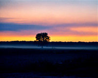 Sarah Beaugez Photography-Delta Sunsets 23