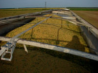 Mississippi Tractors & Combines in Delta 20