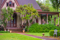 111 Mississippi New Cotton 16