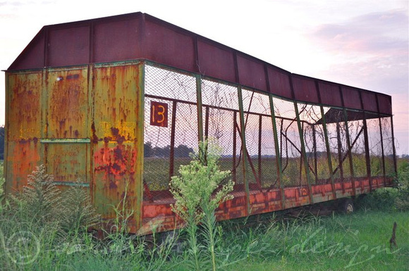Sarah Beaugez Photography-On the Road 17