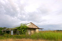 MS Delta Juke Joint