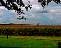 Agriculture