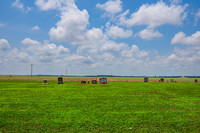 CN&C _ Joe's Cotton-2