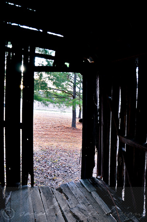 Sarah Beaugez Photography-The Franks Farm 13