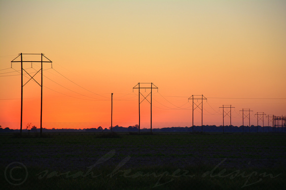 Sunset at the power lines on Heathman Plantation.