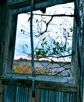 Cotton House window on Hwy 8, just outside of Ruleville.