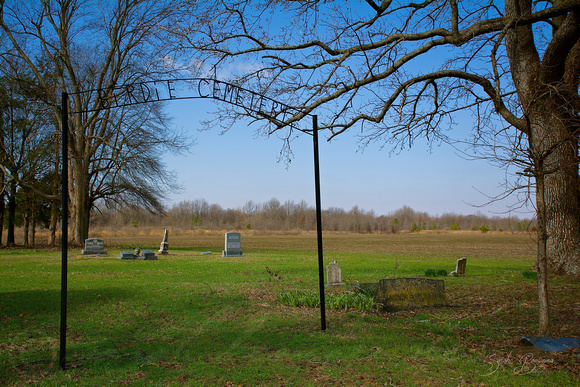 Cemetery in Birdie, located in Quitman County.