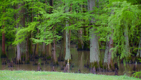 Indian Bayou, Indianola in Sunflower County.