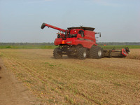 Mississippi Tractors & Combines in Delta 19