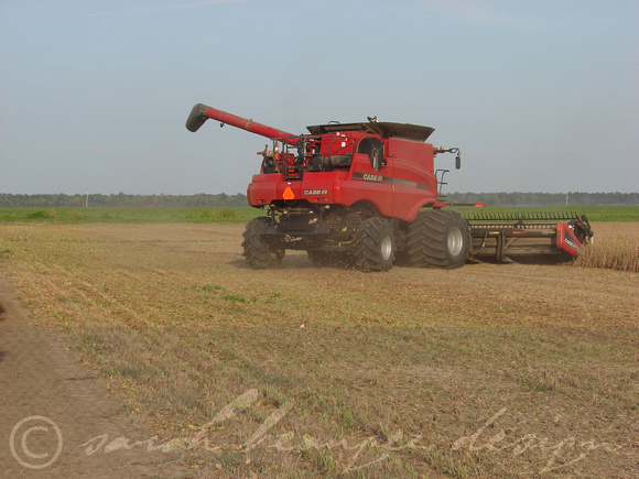 Mississippi Tractors & Combines in Delta 19