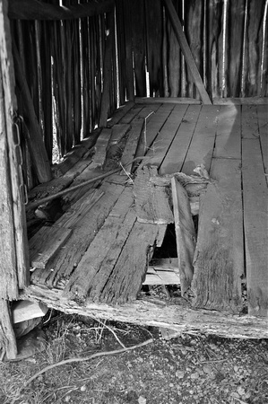 Sarah Beaugez Photography-The Franks Farm 19