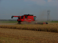 Mississippi Tractors & Combines in Delta 11