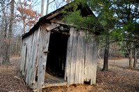 Sarah Beaugez Photography-The Franks Farm 8