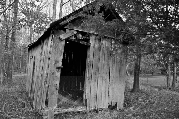 Sarah Beaugez Photography-The Franks Farm 7