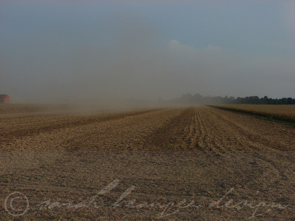 Mississippi Tractors & Combines in Delta 16