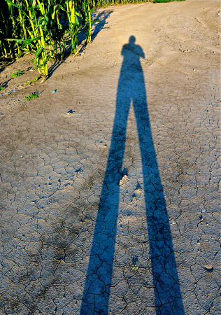 Tall my Shadow