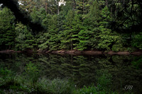 _DSC0657