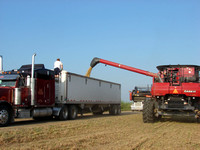 Mississippi Tractors & Combines in Delta 2